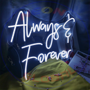 Neon Sign, custom neon , led light, led neon light, led neon sign, home decor art, wedding decor , party neon light , business logo neon, cool lamp light, custom name neon sign, Custom Led Light ,always & forever neon sign