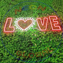 Creative Heart Love Neon Sign,Neon Sign, custom neon , led light, led neon light, led neon sign, home decor art, wedding decor , party neon light , Business Neon Sign, cool lamp light, custom name neon sign, Custom Led Light 