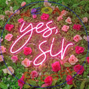 Yes Sir Neon Sign,Neon Sign, custom neon, led light, led neon light, led neon sign, home decor neon, wedding neon sign, party neon light , Business logo Neon Sign, cool lamp light, custom name neon sign, Custom Led Light, bedroom neon sign, 