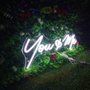 You And Me Neon Sign,Neon Sign, custom neon, led light, led neon light, led neon sign, home decor neon, wedding neon sign, party neon light , Business logo Neon Sign, cool lamp light, custom name neon sign, Custom Led Light, bedroom neon sign,
