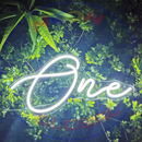 One Neon Sign, Neon Sign, custom neon, led light, led neon light, led neon sign, home decor neon, wedding neon sign, party neon light , Business logo Neon Sign, cool lamp light, custom name neon sign, Custom Led Light, bedroom neon sign, 