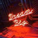 Dream Big Neon Sign