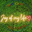 Joy of My Life neon sign，Neon Sign, custom neon, led light, led neon light, led neon sign, home decor neon, wedding neon sign, party neon light , Business logo Neon Sign, cool lamp light, custom name neon sign, Custom Led Light, bedroom neon sign, 