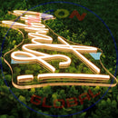 Congrats Neon Sign,Neon Sign, custom neon , led light, led neon light, led neon sign, home decor art, wedding decor , party neon light , Business Neon Sign, cool lamp light, custom name neon sign, Custom Led Light